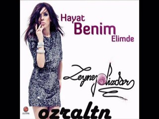 ZEYNEP DİZDAR  NASIL DAYANIRIM   2010