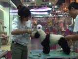 Beijing dog spa turns pooches into pandas
