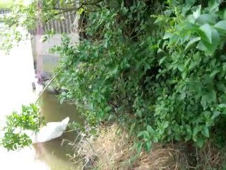 Kathy  la mouette se fait re-looker....