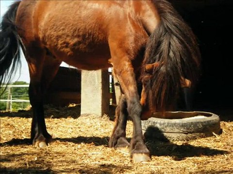 Mois de Juin 2010 - Je-t-adore-x3