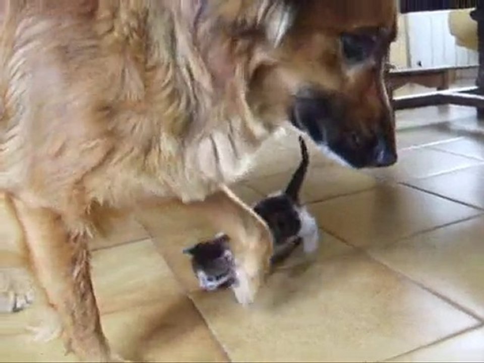 Une histoire de tendresse