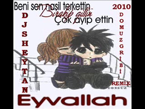 Dj SheytaN & Oguzhan Koc - Domuz Gribi 2010 Club Remix