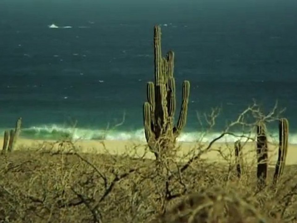 Rumors - Teaser