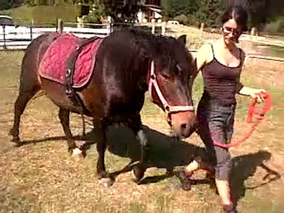 VID 00017-20100629-1708.3GP