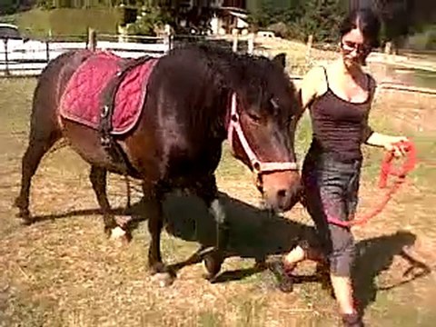 VID 00017-20100629-1708.3GP