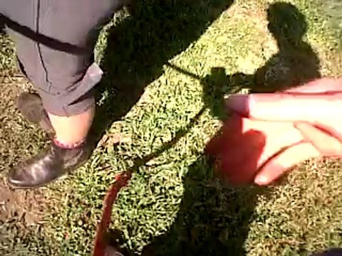 VID 00019-20100629-1715.3GP