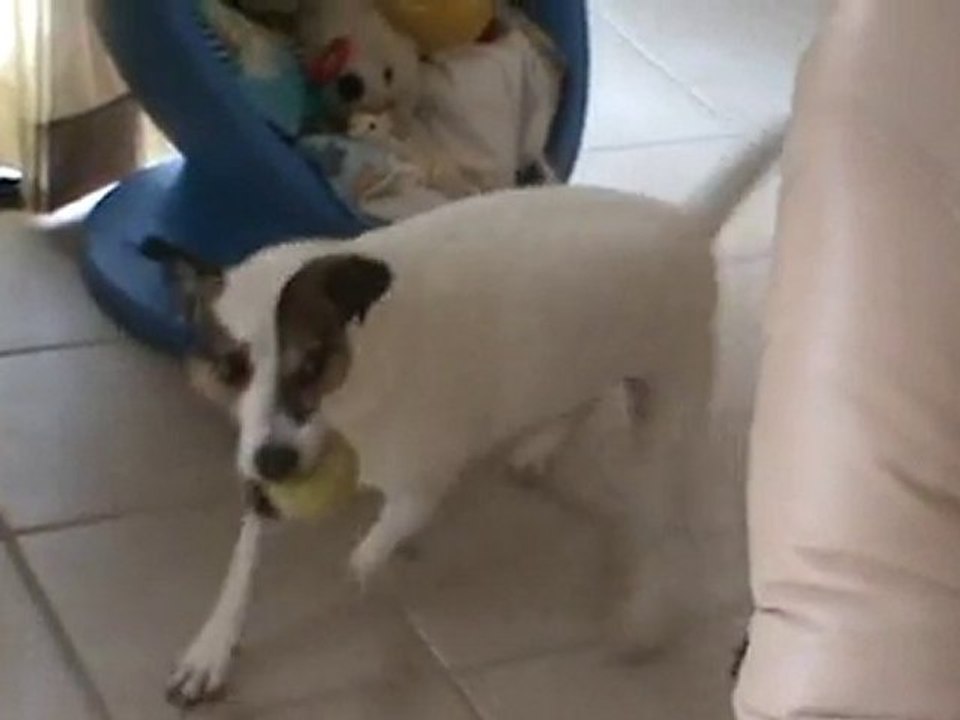 Toupie et l'aspirateur