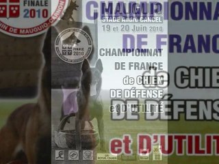 Bakari, Boss, Us'ton, finale Ring 2010 Mauguio