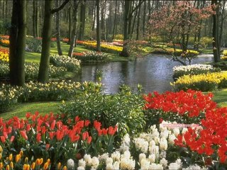 DJ ZAPO & MC BERFİN SLOW