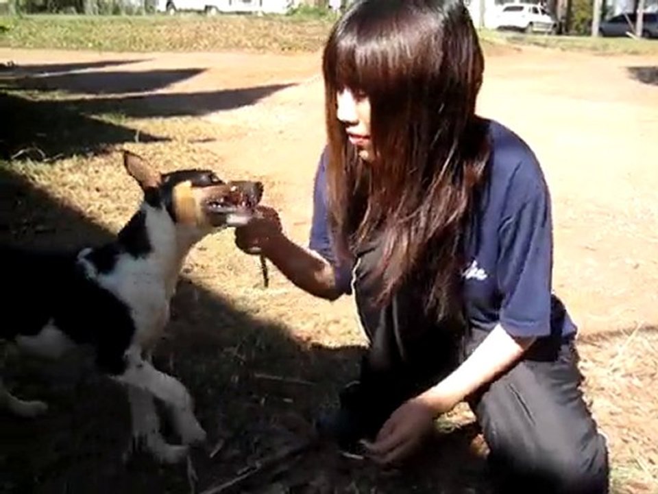 ミラとさとうさん