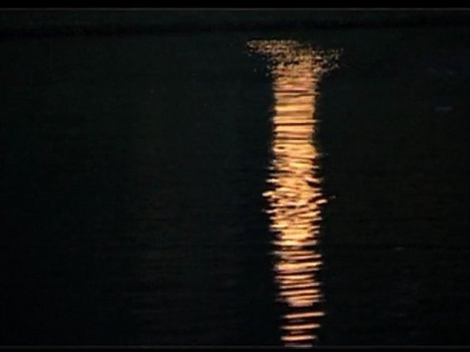 Les grandes eaux nocturnes au Château de Versailles