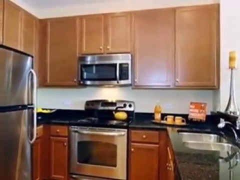 Homes for Sale - 1901 S Calumet Ave Unit 2210 - Chicago, IL