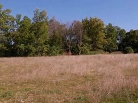 Homes for Sale - 11524 W Heather Dr - Milwaukee, WI 53224 -