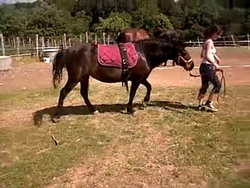 VID 00020-20100630-1617.3GP