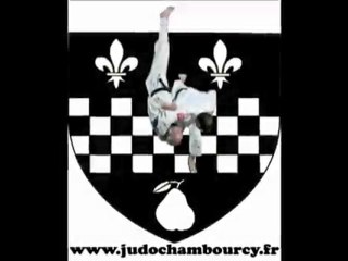 fin d année judo club chambourcy