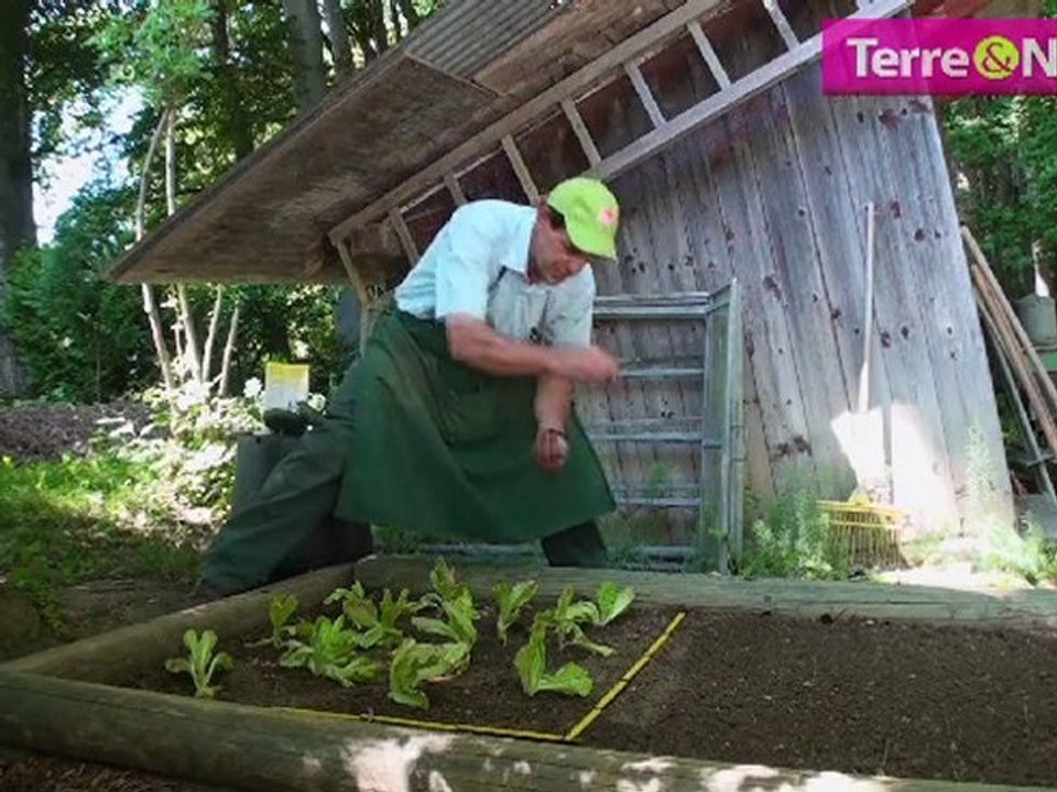 Des limaces dans le jardin ?