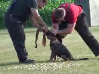 Darryl and Akira on the flirt