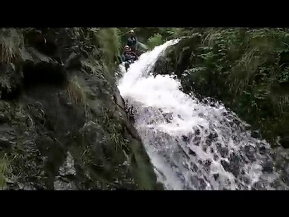 Le caouba d' Arribère