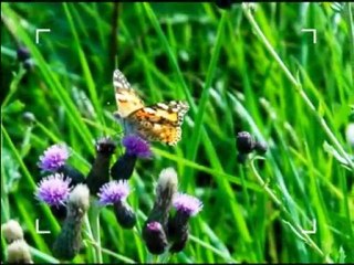 PORTFOLIO SERHAT CAGLAYAN TÜRKIYE