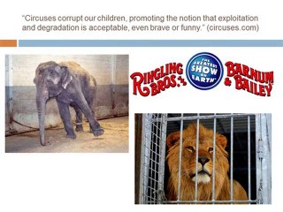 Group PETA Presentation