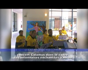 Fil de l'actu - concert de Calamus à Avion