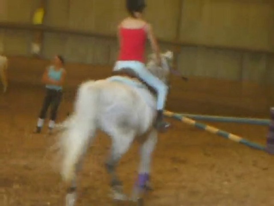 juju et igname - 60cm