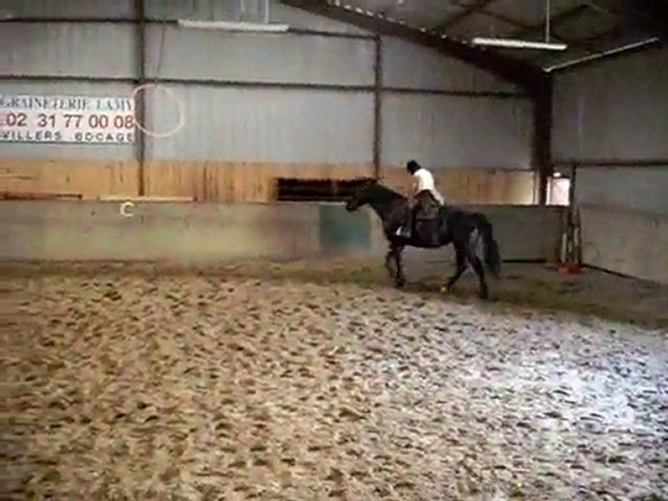 Galop du Mardi 29 Juin 2010