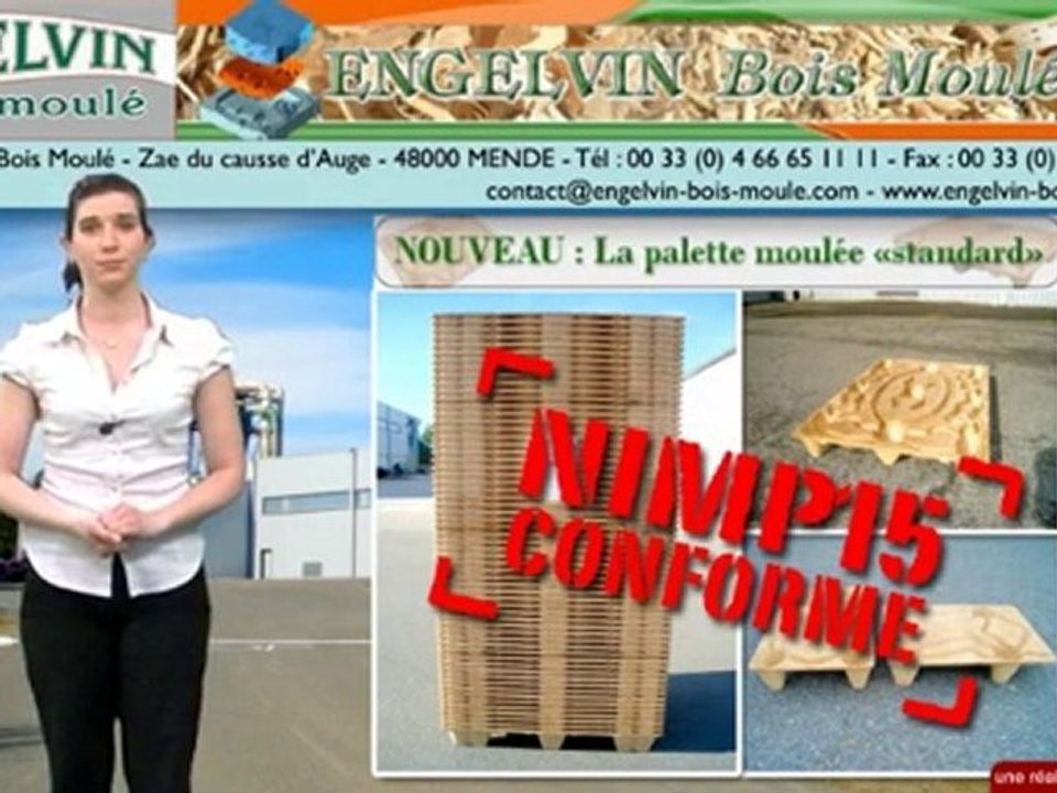 Palette de bois moulé, dés à palettes moulées avec Engel