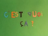 C'est quoi ça? (2010)