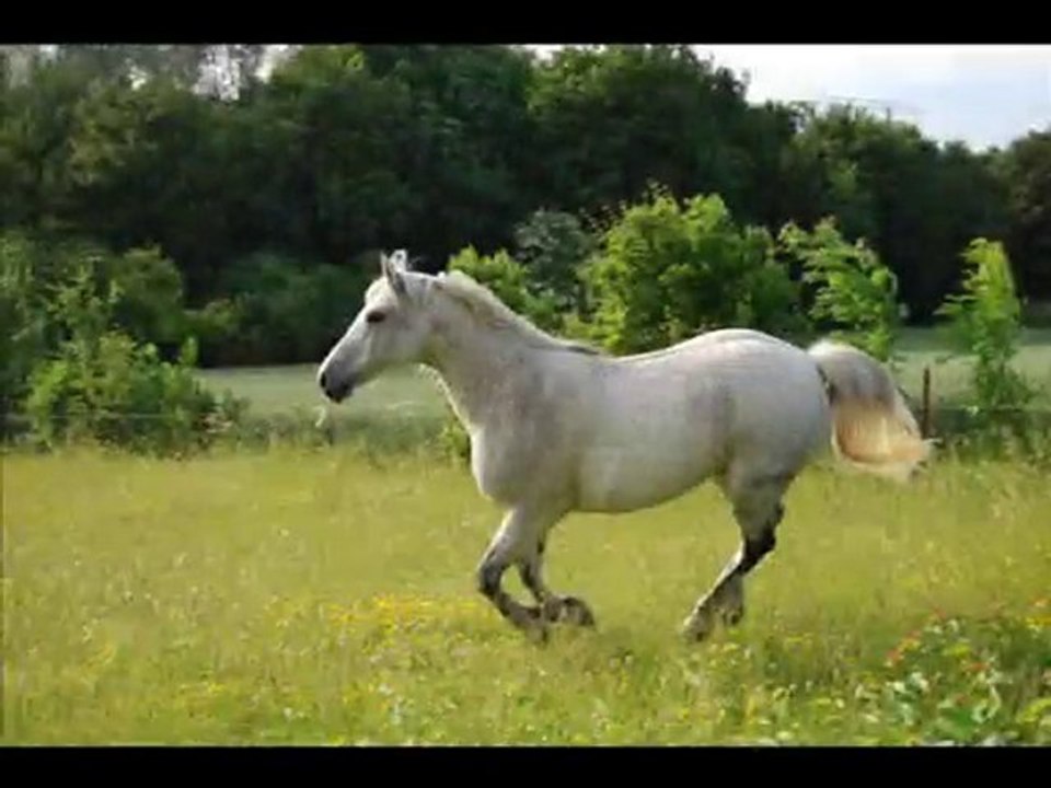 Eveil, Mai et Juin 2010 (BLOG)