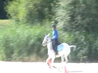 LAMOTTE 2010 EQUIFUN LAS BANDIDAS