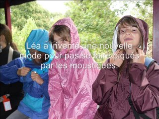 la brière en calèche