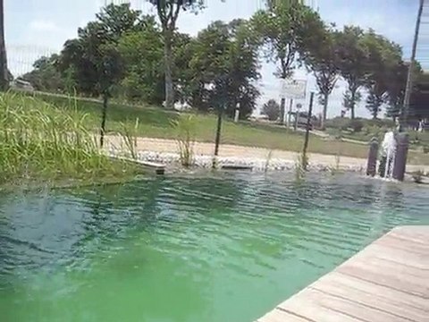 piscine naturelle Teichmeister Villars les Dombes dans l'Ain
