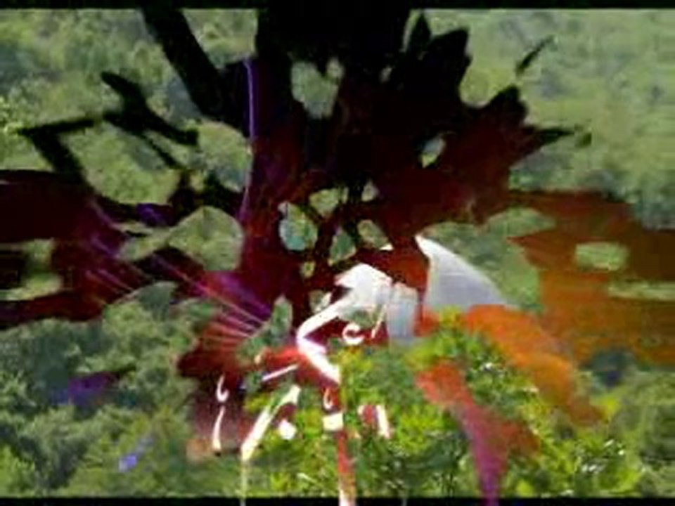 sedat uçan 2009 ağlaya ağlaya