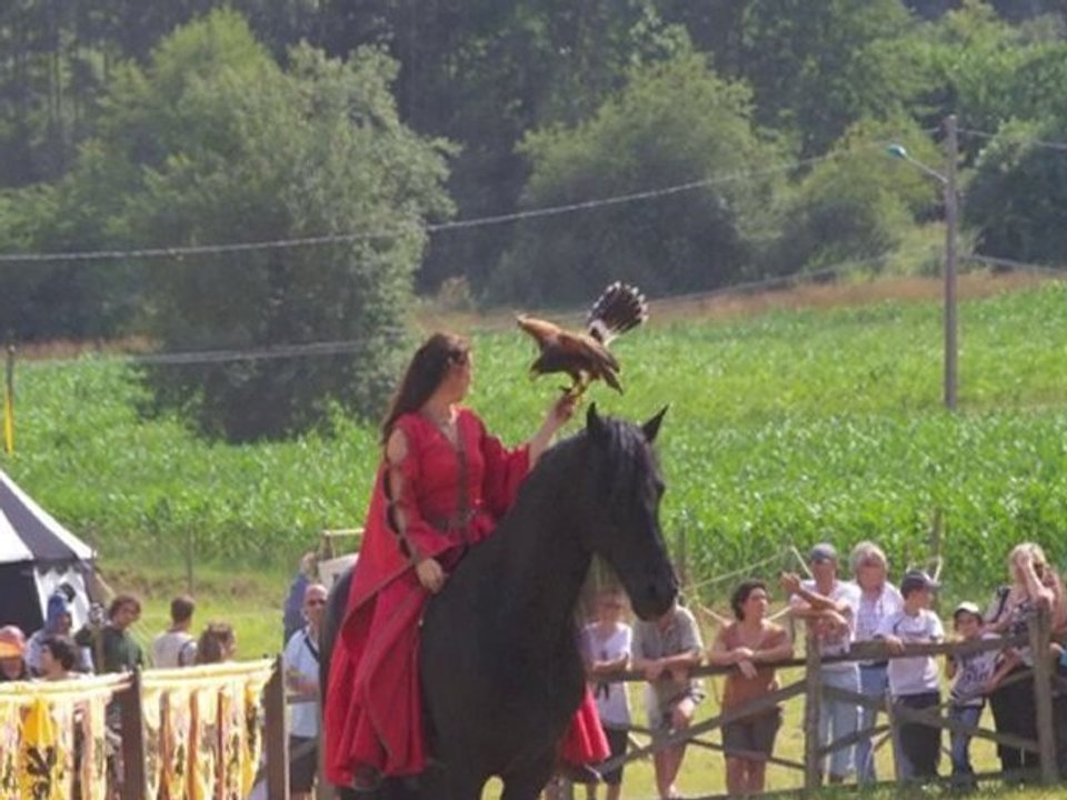 Medievales 2010