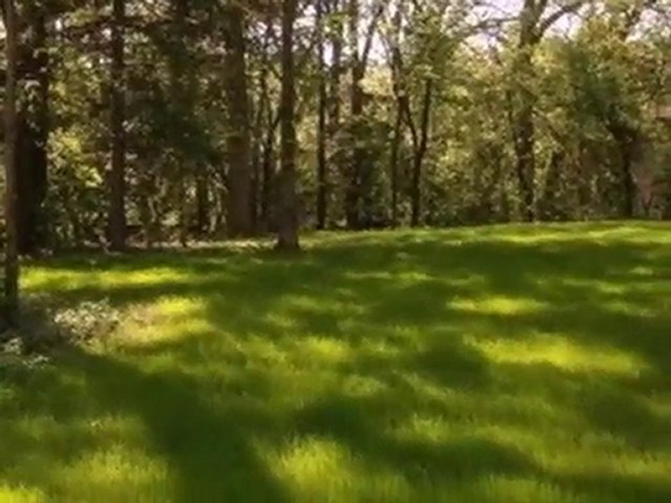 Homes for Sale - 51 Yorkshire Woods - Oak Brook, IL 60523 -