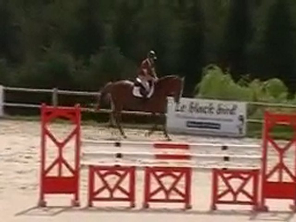 Silva d'Orient Bercheres Juillet