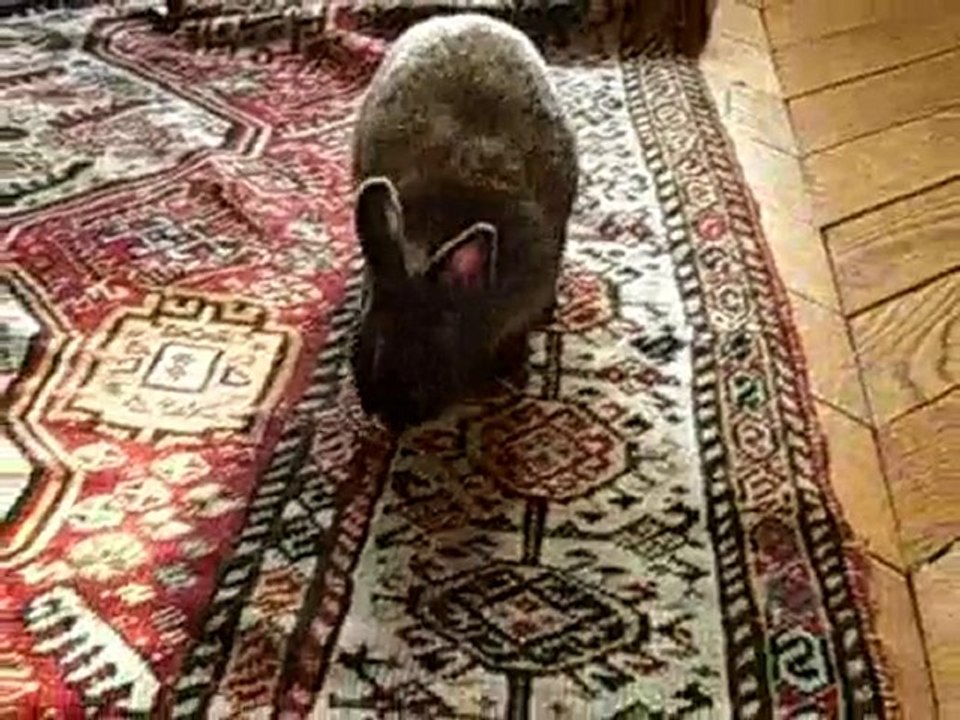 caramelle video faite par moi!