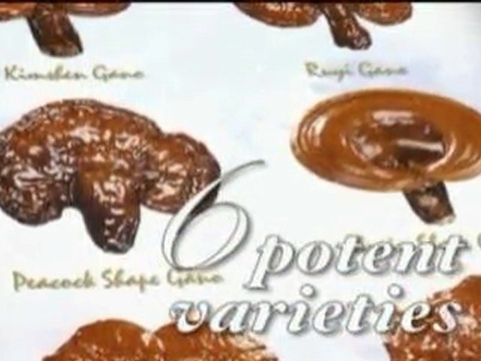 GANODERMA MITO O REALIDAD - NEGOCIO PROPIO REDES DE MERCADEO