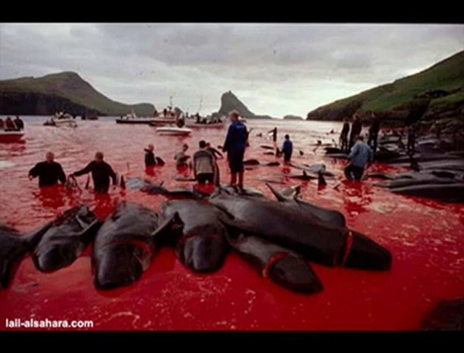 Yasamak Hakkımız (Our rights to live)