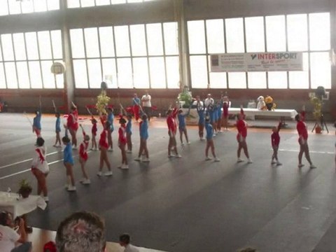 Festival des Albatros ( 27 juin 2010 )