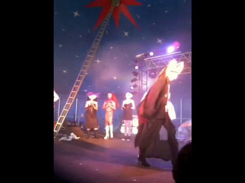 Solidays 2010 - Les Soeurs de la Perpétuelle Indulgence