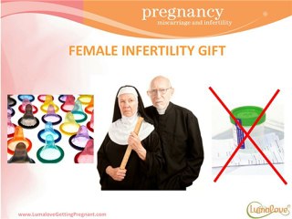 Catholic Church And Artificial Insemination
