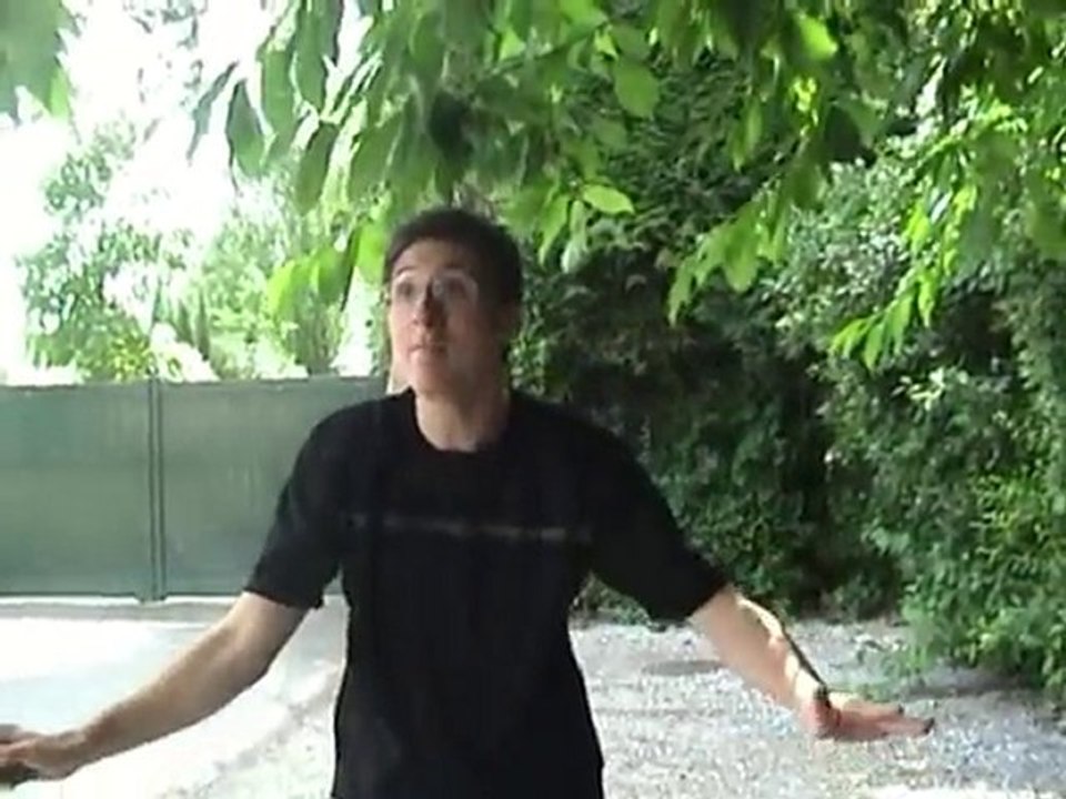 Le Visiteur Du Futur version Rifturn team S01E01