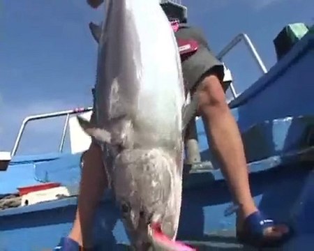 JİGGİNG(DİKEY SIRTI AVCILIĞI)1