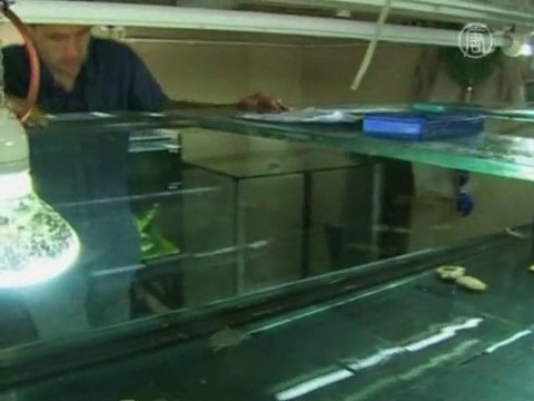 Редкие черепашки родились в зоопарке Шёнбрунн