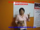 TESTIMONIO GANODERMA LUCIDUM GANO EXCEL