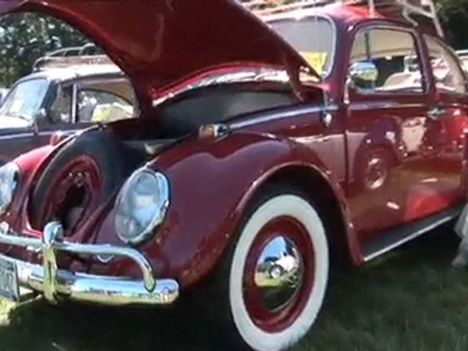 Classic Beetle Bugs "Build A BuG" VW Restorations Vallone