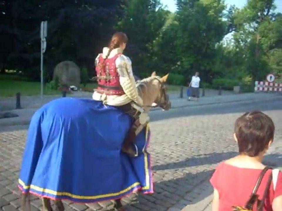 Najazd rycerstwa na Opole