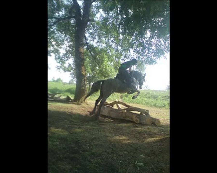 30 Juin 2010 séance de cross